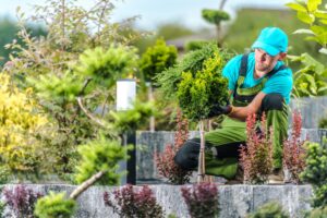 Landscaper Staking a Plant